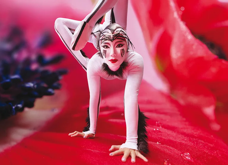 Cirque Du Soleil: „OVO“ präsentiert das große Krabbeln!