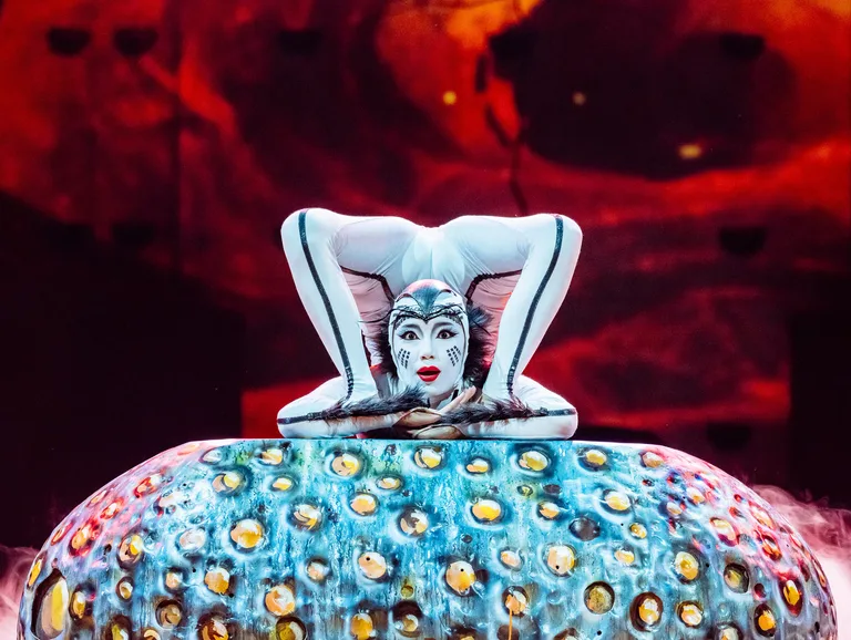 Cirque du Soleil - OVO: Exklusive Upgrade- und Logenangebote
