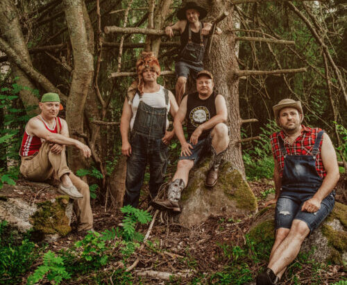 Steve N' Seagulls